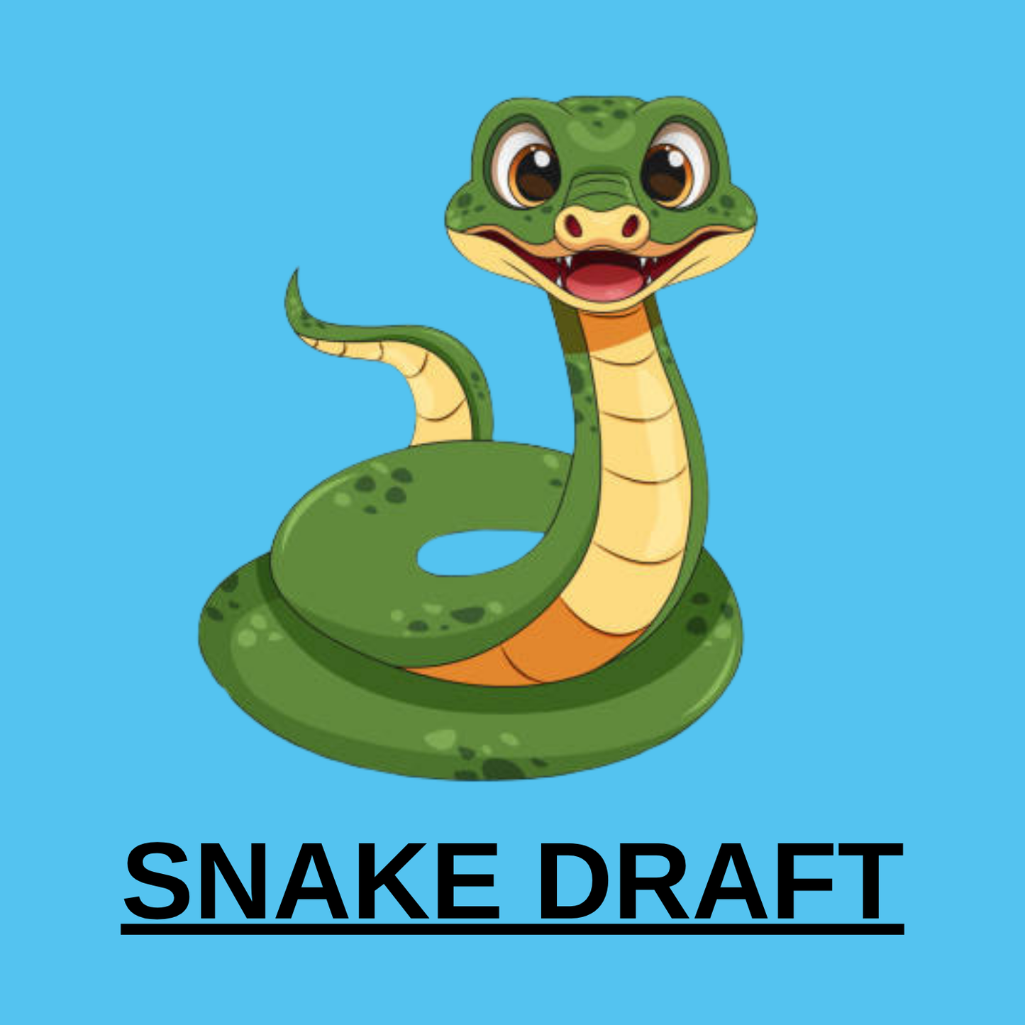 2025 Bowman Draft Half Case Snake Draft